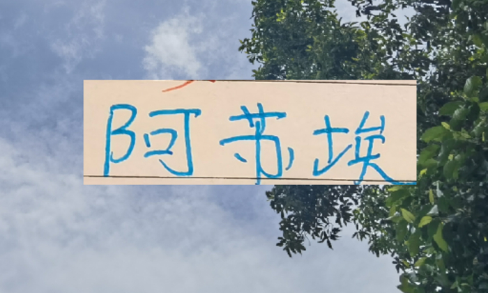 官方网站-还差一个外援！到时候是阿苏埃出现 还是申花新的大鱼上岸？|上海申花|阿莱士-特谢拉-桑托斯|上海申花足球俱乐部|托尼·罗伯茨|马纳法_新浪体育_新浪新闻